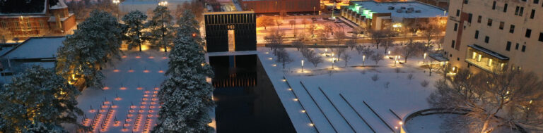 Snowfall Serenity at 4K