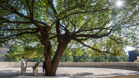 Special Thanks to Our Sponsors