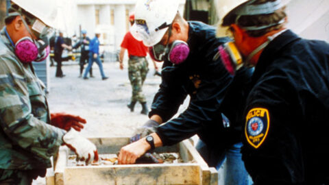 Investigation of the Crime