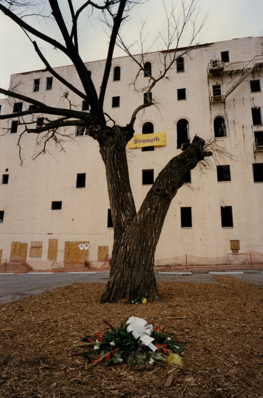 The Survivor Tree Today Oklahoma City National Memorial & Museum