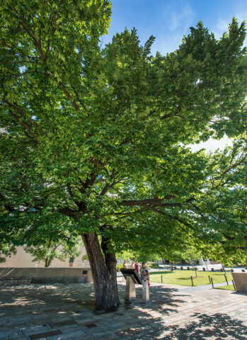 Students Teaching Students the Impact of the Oklahoma City Bombing