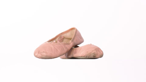 Ballet Slippers