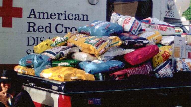 Donated Dog Food