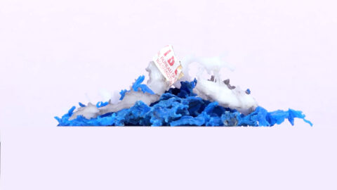 Plastic Fragments