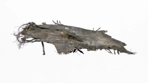 Shredded Tire Fragment