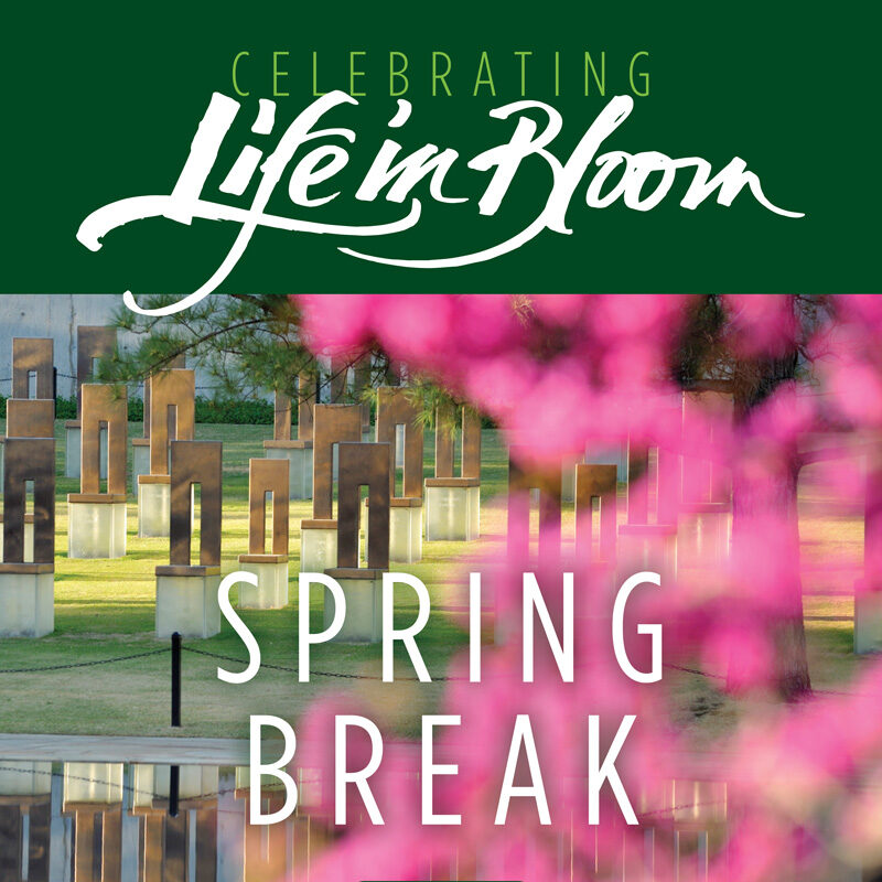 Spring Break: Celebrating Life in Bloom