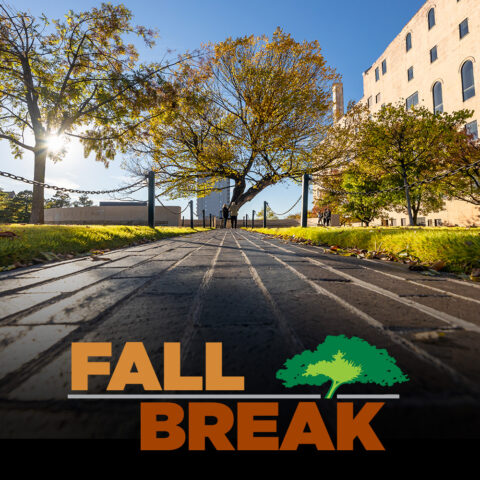 Family Fall Break Experiences