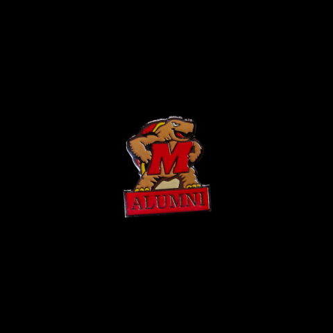 Maryland Pin