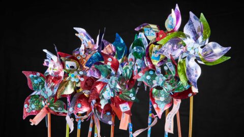 Pinwheels with Victims' Names Attached to Them
