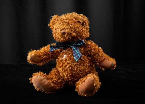 Teddy Bear from 9/11 Red Cross Volunteer