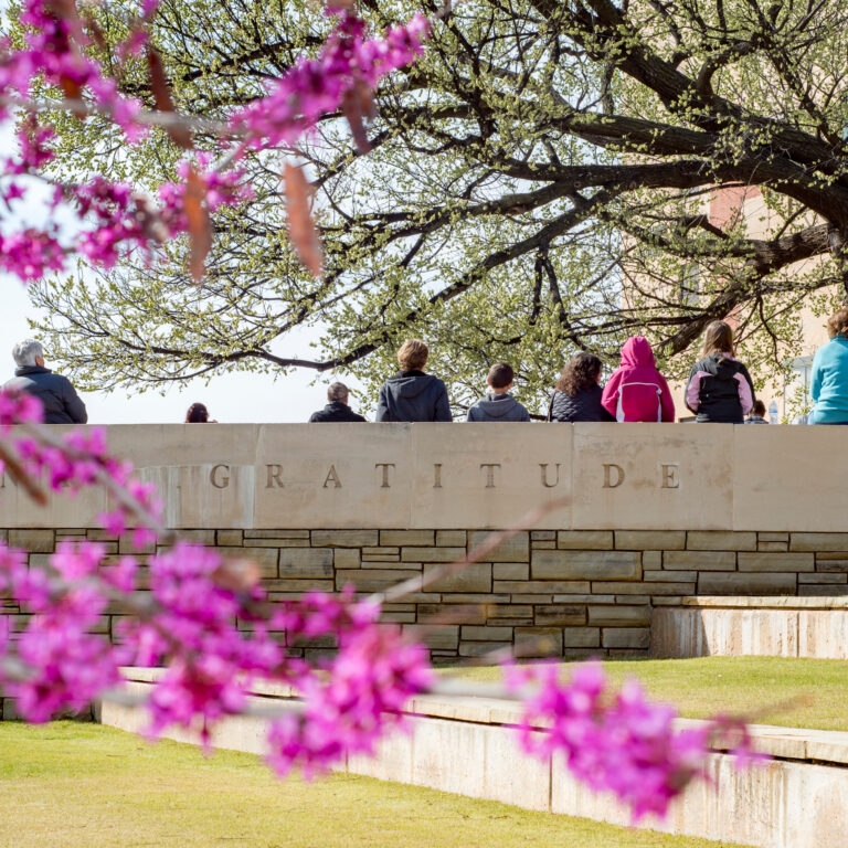 Spring Break Special Programming